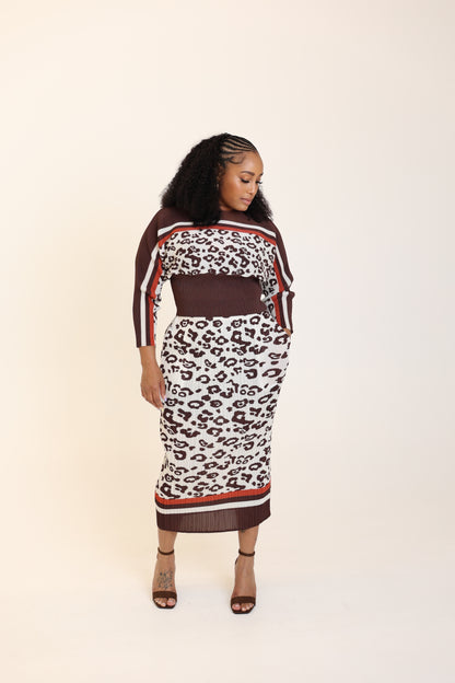 Leopard Print Pleated Knit Skirt Set