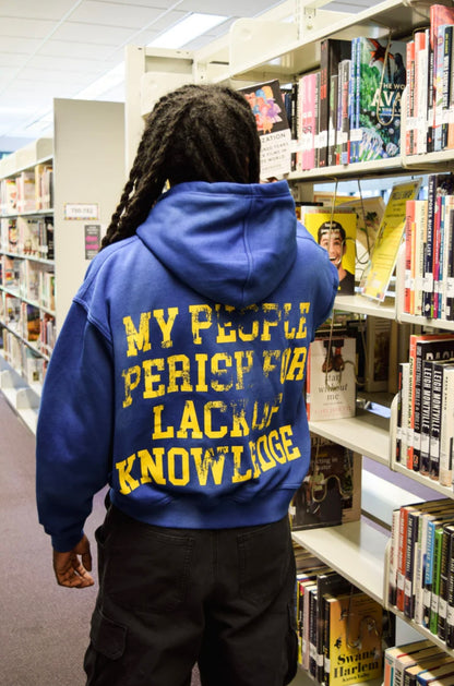 Academy Sun Faded Zip-Up Hoodie (Royal Blue)